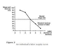 Labor Demand And Supply In A Perfectly Competitive Market