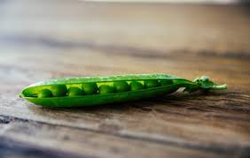 legumes like peas have beneficial