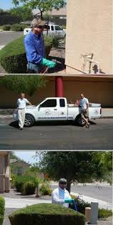 We are arizona pest control specialists. 53 Pest Control In Phoenix Ideas Pest Control Pest Control Services Pests
