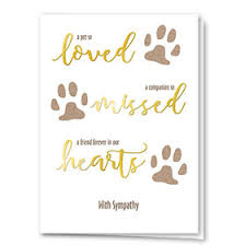 Foil Specialty Loss Of Pet Sympathy Cards Sole Source