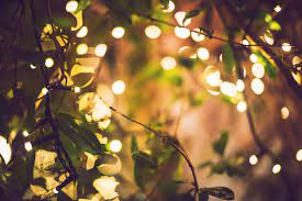 Ten Ways To Use Outdoor Hanging Tree Lights