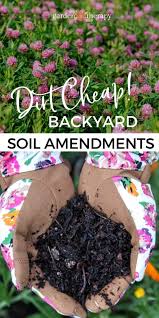The Best Dirt Organic Soil Amendments