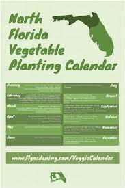 North Florida Vegetable Planting