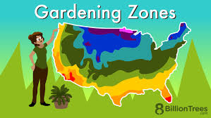 gardening zones what to plant in us