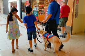 autism service dogs from a trusted team