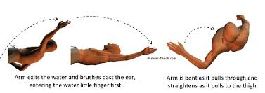 backstroke arms a beginners guide to