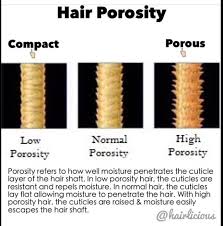 Transform Your Hair Tuesday Know Your Hair Type And Hair