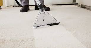 take your carpet care further