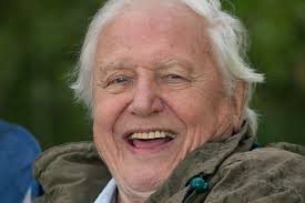 Discuss his documentaries or anything else which you may find relevant. Sir David Attenborough Spotted Filming In Cambridge For New Series Of The Green Planet Cambridgeshire Live