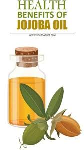 With good massage techniques, the blood circulation gets improved, resulting in stronger hair. 20 Science Proven Jojoba Oil Benefits For Skin Hair And Health