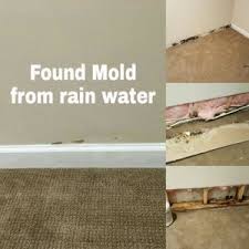mold reation magic touch carpet