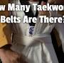 taekwondo belts wtf from googleweblight.com