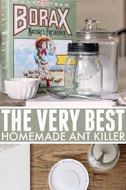 the very best homemade ant the