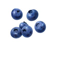 Blueberries Png gambar png