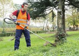 New lawn care technician careers are added daily on simplyhired.com. Bureau Of Labor Statistics
