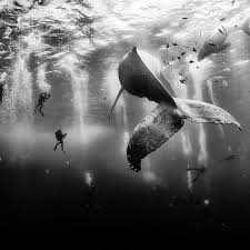 national geographic photo s