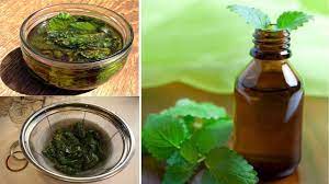 how to make peppermint oil at home and