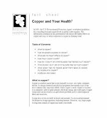 Company Information Sheet Template Company Fact Sheet