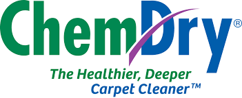 carpet cleaning in nashville tn tnt