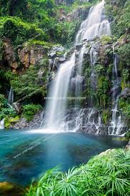 عکس با کیفیت آبشاری با آب زلال در جنگل و سرازیر از تپه ای سرسبز ...