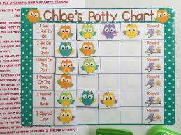 Owl Potty Chart Potty Training Chart Rewards Chart Personalized Star Chart Assembled Laminated Reusable Toilet Training Custom