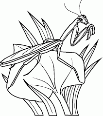 Coloring is essential to the overall. Insect Coloring Page Coloring Home