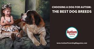 dog for autism the best dog breeds
