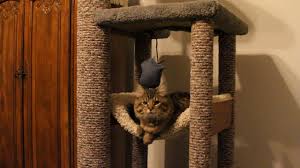 how to replace carpet on a cat tree