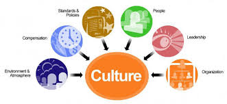 History And Society Organization Culture Organizational