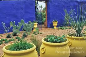 moroccan garden