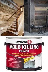 If your basement ceiling has a large area of mold growth after a water leak, call a mold remediation specialist for removal. Basement Ideas For Small Spaces Unique Basement Ceiling Ideas Man Cave Ideas 1000 Basement Ceiling Basement Decor Basement Remodeling