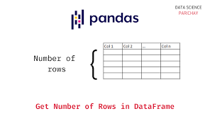 pandas dataframe get row count data