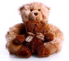 teddy bear png images free