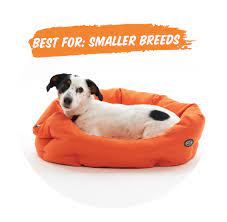 choosing the best dog bed for your dog