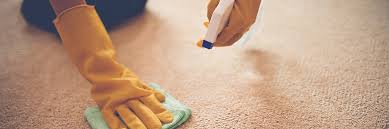 how to clean every kind of carpet stain
