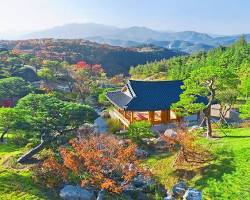 대구 군위군 사유원 풍경, AI로 생성