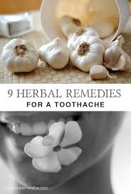 9 herbal remes for a toothache