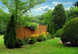 38 Clever Backyard Shrub Garden Ideas