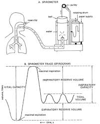 Pulmonary Function Testing Clinical Respiratory Diseases
