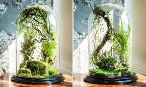 craft a great glass jar terrarium