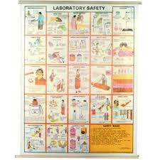 Buy Laboratory Safety Chart From Hospital Equipment Mfg Co