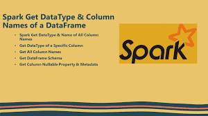 spark get datatype column names of
