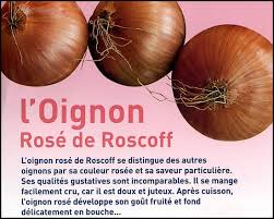 Résultat de recherche d'images pour "oignons roses de Roscoff"