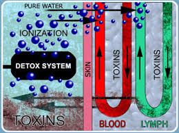 Lymphatic Foot Bath System Detox Detoxify Body Basics