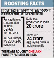 Egg Prices How The Egg Has Gone From Leaving You Light On