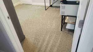 rv carpet cleaning st george black