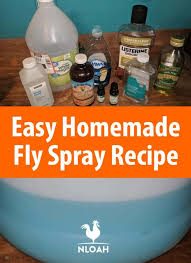 easy homemade fly spray recipe new