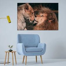 lion couple kissing scene in forest on