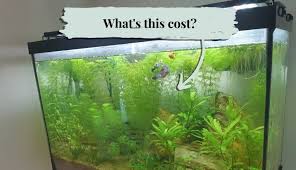 planted aquarium setup cost list