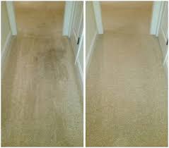 dependable carpet cleaning 1088 buck